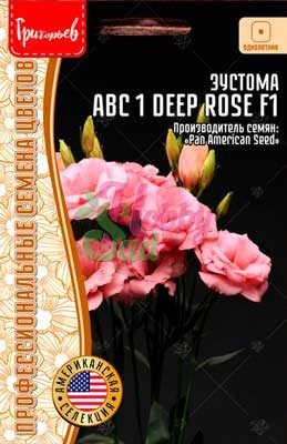 Цветы Эустома ABC 1 Дип Роуз махровая F (5 др) ЭКЗОТИКА