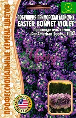Цветы Алиссум Эстер Боннет Виолет (Easter Bonnet Violet) (лобулярия) (20 шт) ЭКЗОТИКА