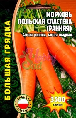 Морковь Польская Сластена (ранняя) (3500 шт) ЭКЗОТИКА