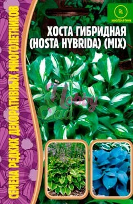 Цветы Хоста гибридная Микс (Hosta hybrida mix) (0,02 гр) ЭКЗОТИКА