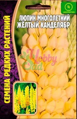 Цветы Люпин Желтый Канделябр (17 шт) ЭКЗОТИКА
