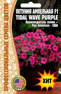Цветы Петуния Тайдал Вейв Парпл F1 (Tidal Wave Purple) ампельная (5 шт) ЭКЗОТИКА