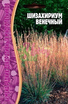 Цветы Шизахириум Венечный (20 шт) ЭКЗОТИКА