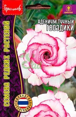 Цветы Адениум Гвоздики (3 шт) ЭКЗОТИКА Комнатные