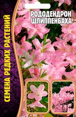 Цветы Рододендрон Шлиппенбаха (0,01 гр) ЭКЗОТИКА