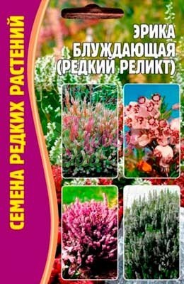 Цветы Эрика блуждающая (редкий реликт) (15 шт) ЭКЗОТИКА