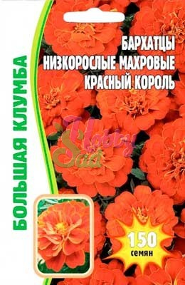 Цветы Бархатцы Красный Король низкорослые махровые (150 шт) ЭКЗОТИКА
