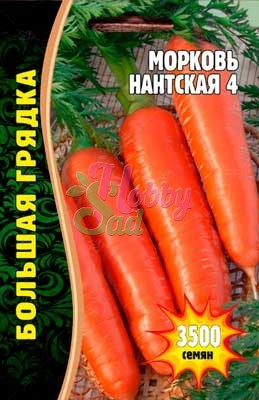 Морковь Нантская 4 (5000 шт) ЭКЗОТИКА