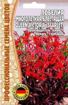 Цветы Лобелия Квин Виктория блестящая многолетняя (Queen Victoria(scarlet) (5 драже) ЭКЗОТИКА