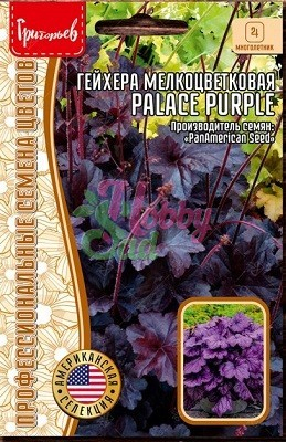 Цветы Гейхера Палас Парпл мелкоцв.(Palace Purple) PanAm (10 шт) ЭКЗОТИКА