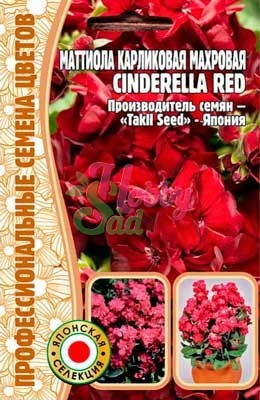 Цветы Маттиола Циндерелла Ред (Cinderella Red) карликовая махровая (5 шт) ЭКЗОТИКА