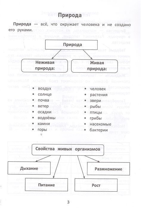 Эмма Матекина: Окружающий мир. С наклейками, ребусами, кроссвордами