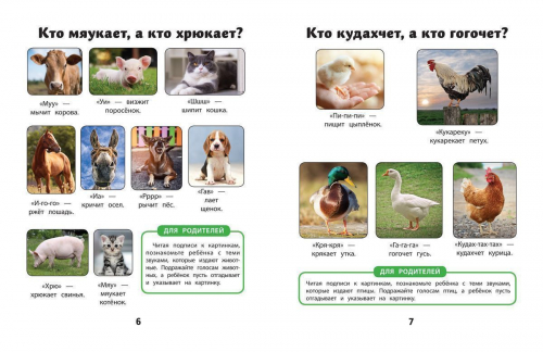 Елена Молчанова: Как много звуков нас окружает