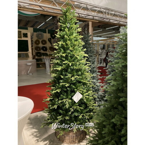 Искусственная зеленая елка Гленридж компактная 183 см, ЛИТАЯ + ПВХ (National Tree Company)