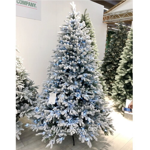 Искусственная елка с огоньками Гамильтон заснеженная 228 см, 750 теплых/холодных белых ламп, ЛИТАЯ + ПВХ (National Tree Company)