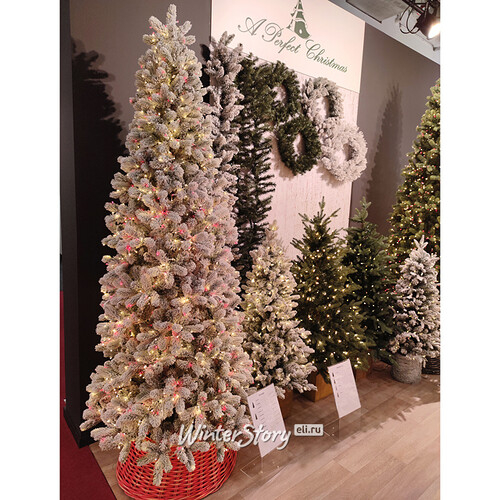 Искусственная стройная елка с гирляндой Джорджия Slim заснеженная 213 см, 1800 красных/теплых белых ламп, ЛИТАЯ + ПВХ (A Perfect Christmas)