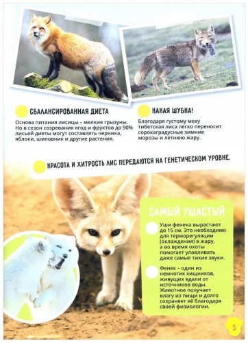 Животные. Невероятные факты. Энциклопедия в дополненной реальности.