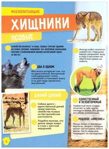 Животные. Невероятные факты. Энциклопедия в дополненной реальности.
