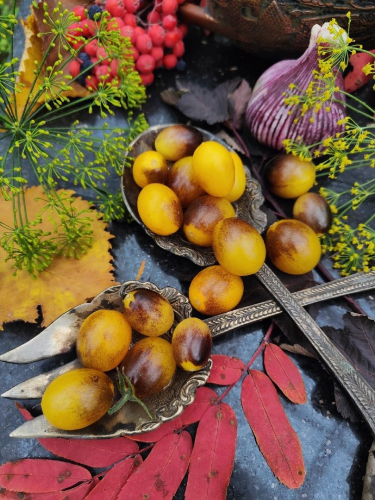 Томат Индиго кумкват (Indigo Kumquat)