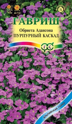 Цветы Обриета Пурпурный каскад 0,05 г ц/п Гавриш (мног.) альп. горка
