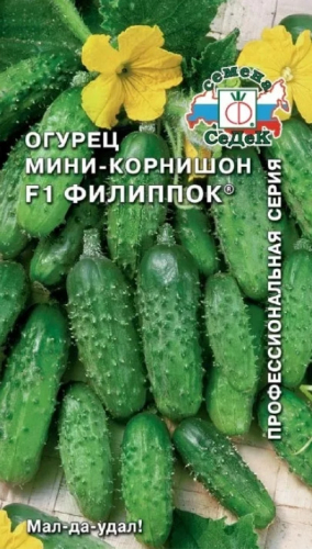 Огурец Филиппок F1 СеДек