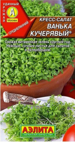Кресс-салат Ванька Кучерявый Аэлита