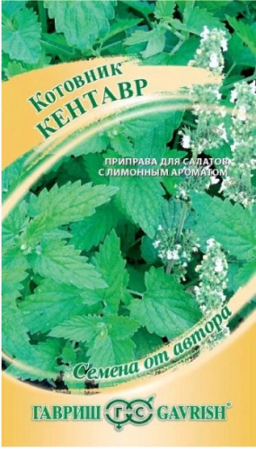 Котовник Кентавр Гавриш