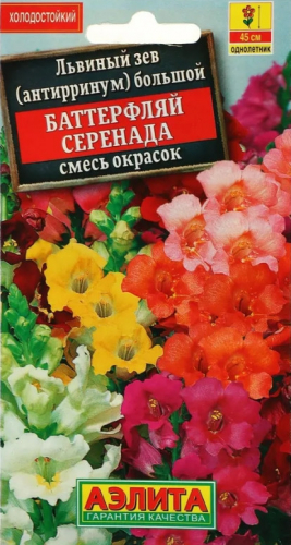 Львиный зев Баттерфляй Серенада Аэл