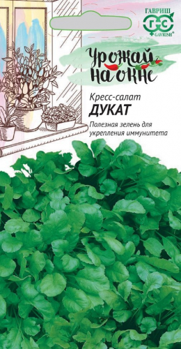 Кресс-салат Дукат /Урожай на окне