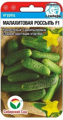 Огурец Малахитовая Россыпь F1 Сиб.С