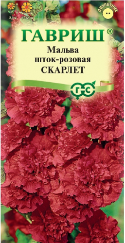 Мальва Скарлет красная Гавриш