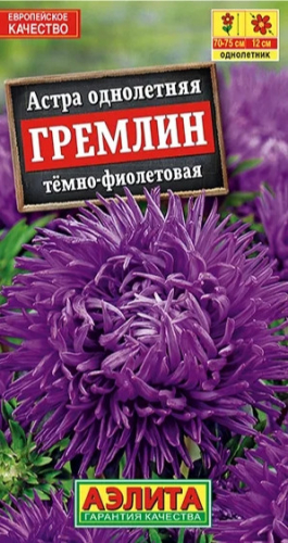 Астра Гремлин ТЕМНО-ФИОЛЕТОВАЯ Аэли