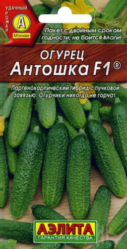 Огурец Антошка F1 Аэлита