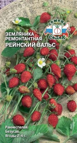 ягоды Земляника Рейнский Вальс 0,04 г ц/п Седек (ремонтантная, безусая)