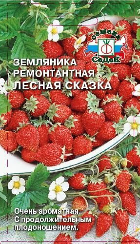 ягоды Земляника Лесная сказка 0,04 г ц/п Седек (ремонтантная, безусая)