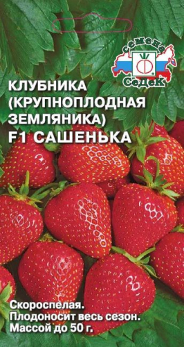 ягоды Клубника Сашенька F1 15 шт ц/п Седек (ремонтантная)