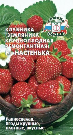 ягоды Клубника Настенька F1 15 шт ц/п Седек (ремонтантная)