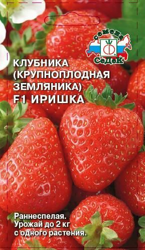 ягоды Клубника Иришка F1 0,09 г ц/п Седек (ремонтантная)