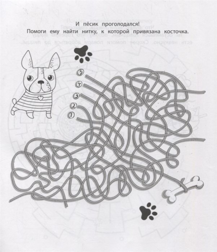 Юлия Саглик: Лабиринты-квесты. Много-много приключений, головоломок и запутаниц (-33992-3)