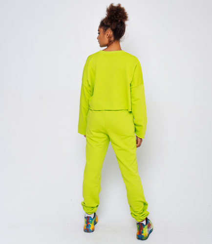 Спортивный костюм #БШ1569, светло-зелёный