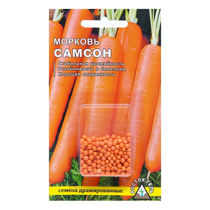Семена Морковь