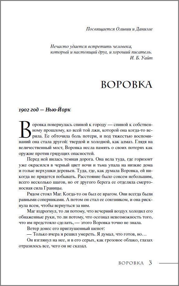 Последний маг. 2. Воровка дьявола