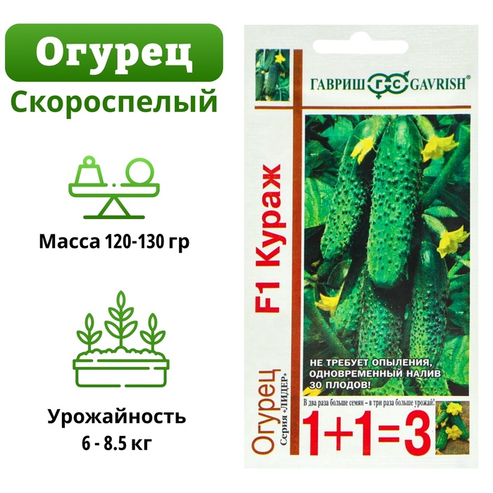 Семена Огурец