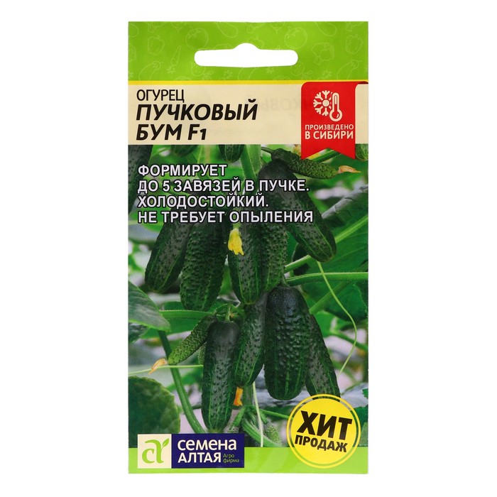 Семена Огурец