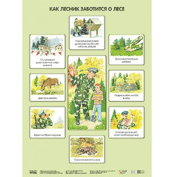 Плакат 978-5-43150-637-6 Как лесник заботится о лесе в Нижнем Новгороде