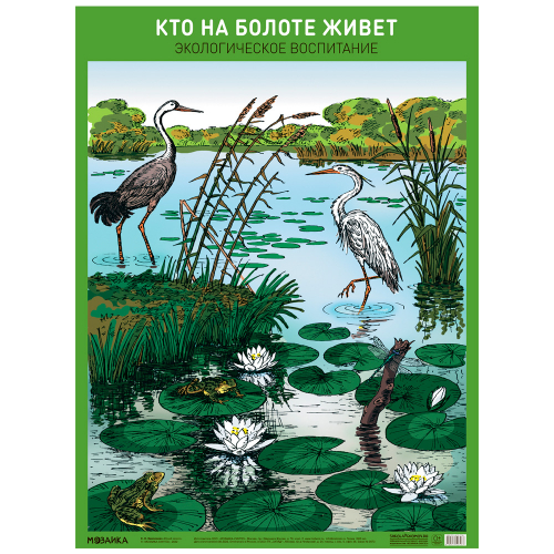 Плакат 978-5-43152-706-7 Кто на болоте живет в Нижнем Новгороде