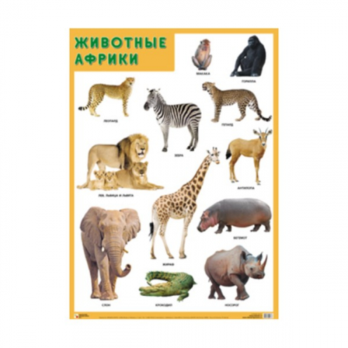 Плакат 978-5-43151-881-2 Животные Африки в Нижнем Новгороде