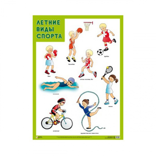 Плакат 978-5-43151-916-1 Летние виды спорта в Нижнем Новгороде
