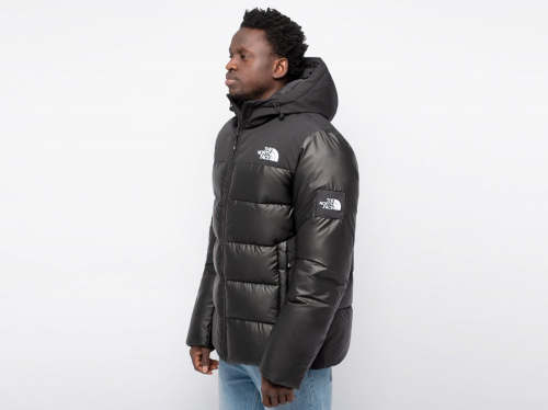 Куртка зимняя The North Face