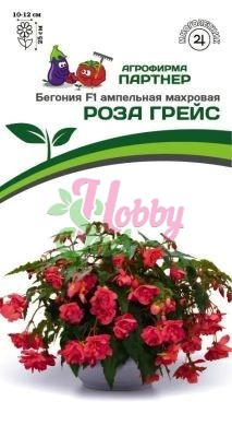 Цветы Бегония Роза Грейс F1 клубневая ампельная махровая (5 шт) Партнер НОВИНКА 2024